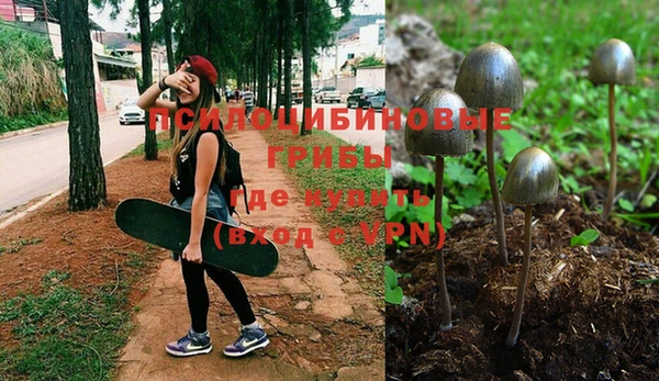 a pvp Алексеевка