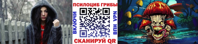 Галлюциногенные грибы мицелий mega маркетплейс Межгорье